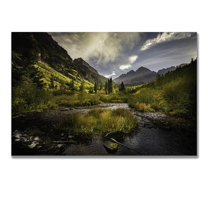 tablou canvas ; tablou pe panza ;tablou personalizat ;tablou abstract ;tablou natura