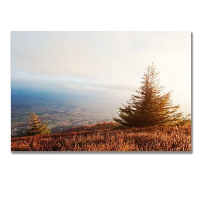 tablou canvas ; tablou pe panza ;tablou personalizat ;tablou abstract ;tablou natura