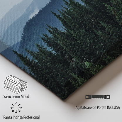 tablou canvas ; tablou pe panza ;tablou personalizat ;tablou abstract ;tablou natura