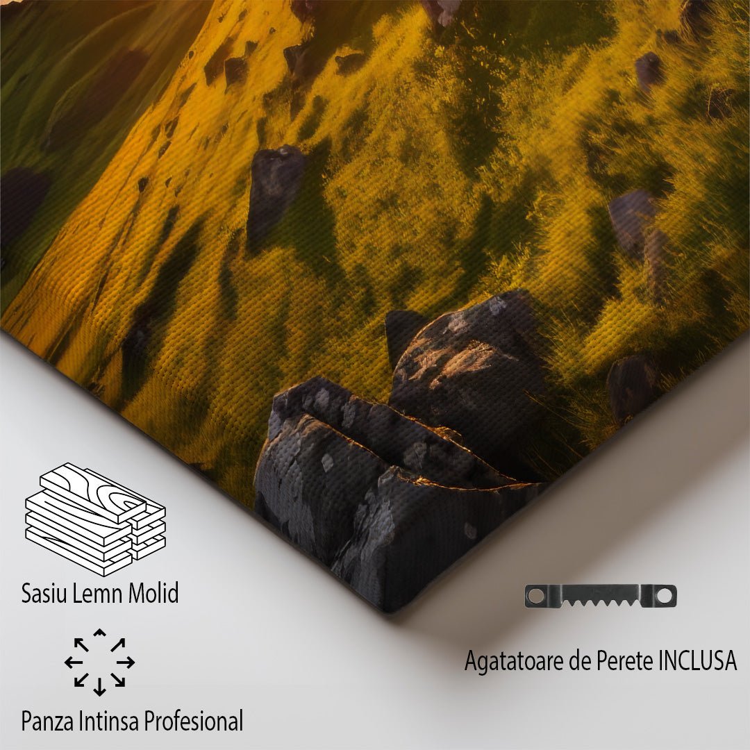 tablou canvas ; tablou pe panza ;tablou personalizat ;tablou abstract ;tablou natura