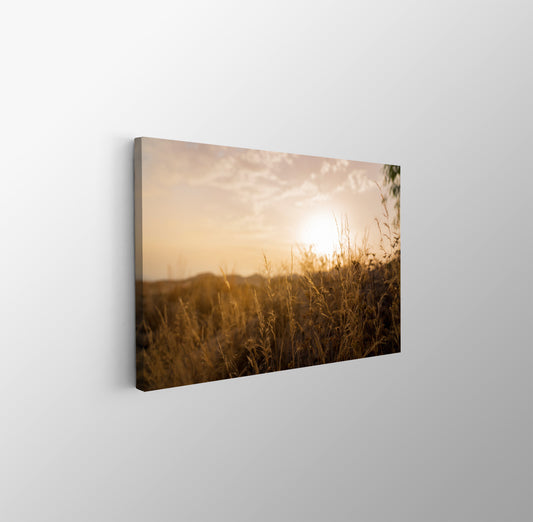 tablou canvas ; tablou pe panza ;tablou personalizat ;tablou abstract ;tablou natura