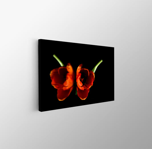 tablou canvas ; tablou pe panza ;tablou personalizat ;tablou abstract ;tablou natura