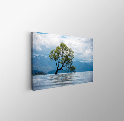 tablou canvas ; tablou pe panza ;tablou personalizat ;tablou abstract ;tablou natura