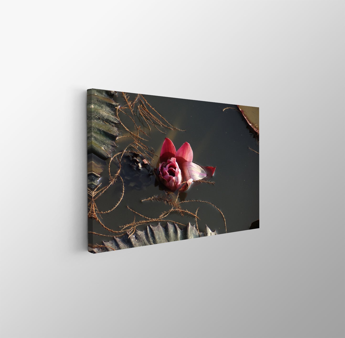 tablou canvas ; tablou pe panza ;tablou personalizat ;tablou abstract ;tablou natura