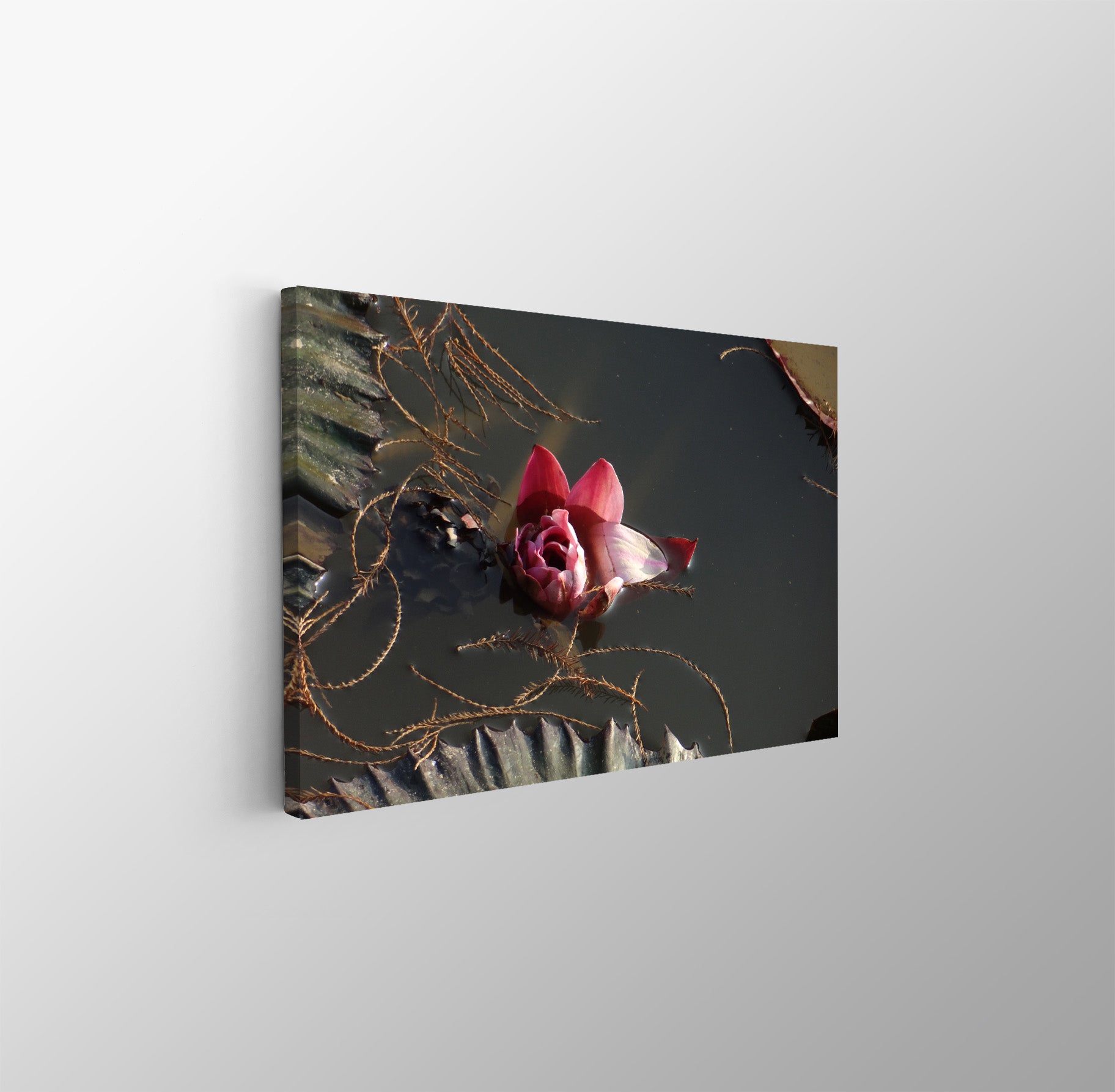 tablou canvas ; tablou pe panza ;tablou personalizat ;tablou abstract ;tablou natura