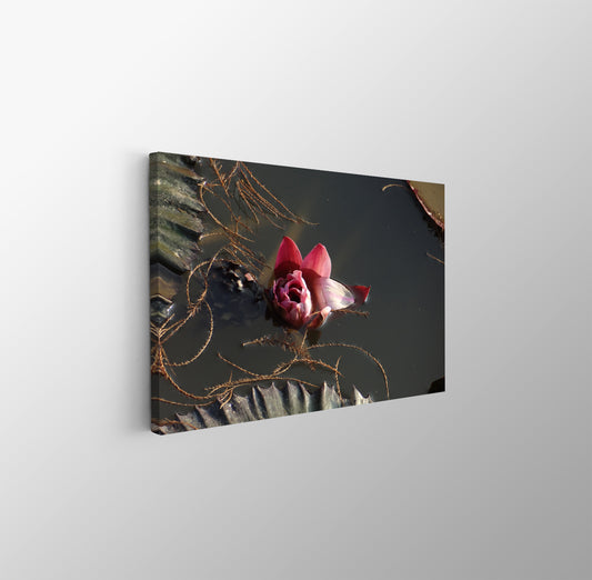 tablou canvas ; tablou pe panza ;tablou personalizat ;tablou abstract ;tablou natura