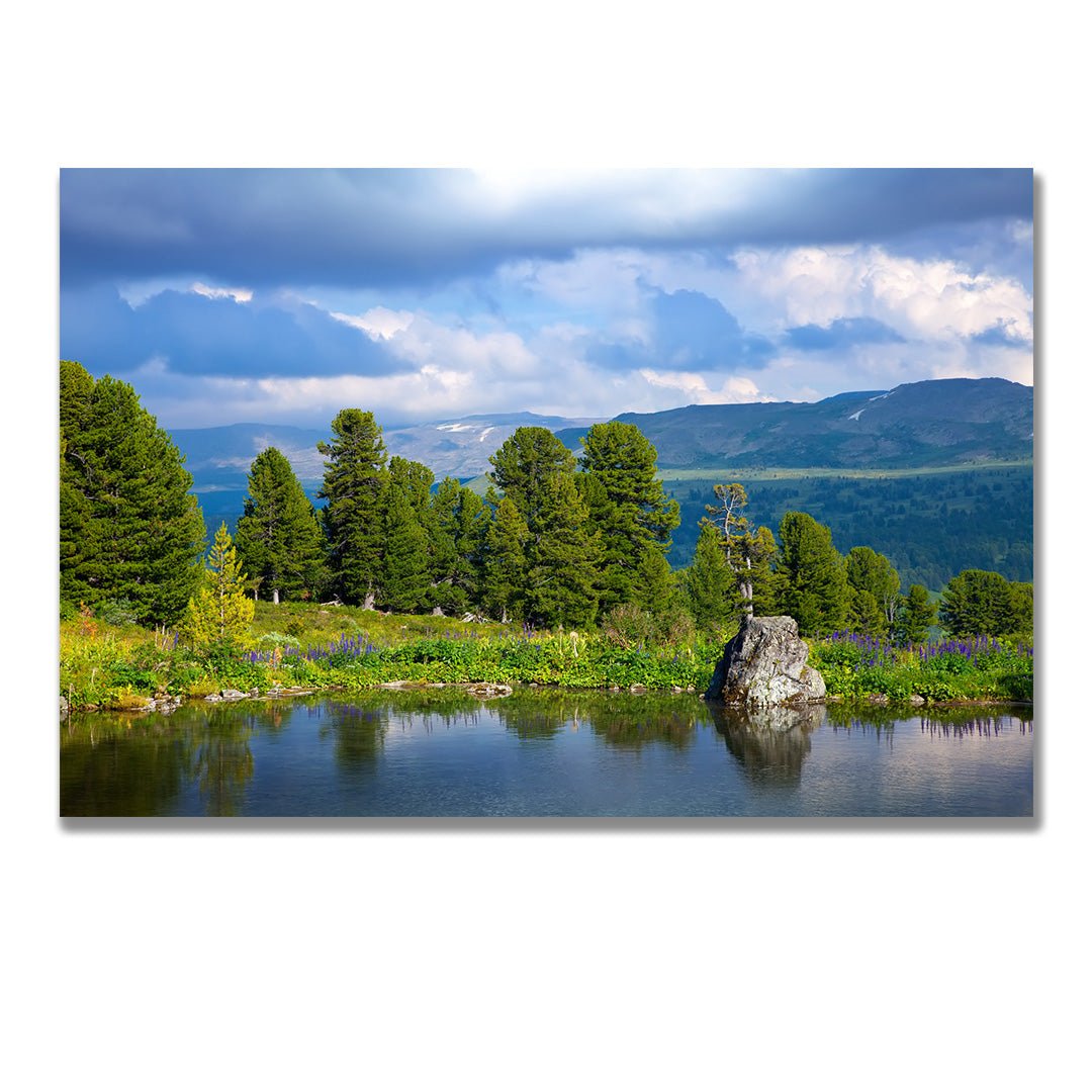 tablou canvas ; tablou pe panza ;tablou personalizat ;tablou abstract ;tablou natura