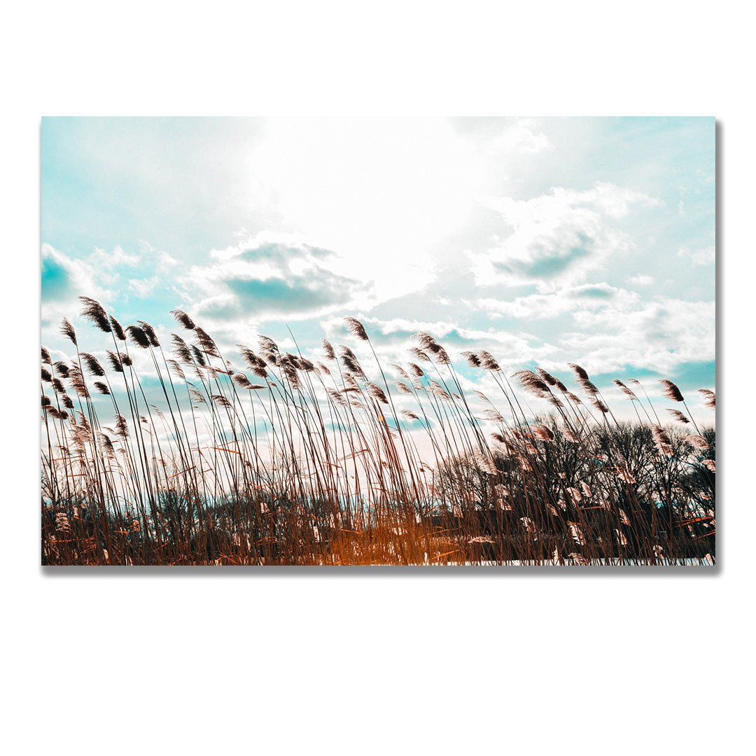 tablou canvas ; tablou pe panza ;tablou personalizat ;tablou abstract ;tablou natura