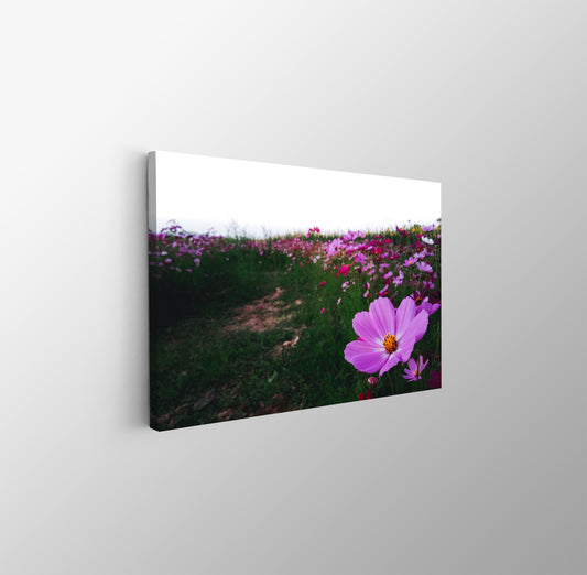 tablou canvas ; tablou pe panza ;tablou personalizat ;tablou abstract ;tablou natura