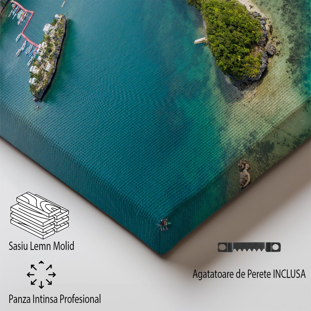 tablou canvas ; tablou pe panza ;tablou personalizat ;tablou abstract ;tablou natura