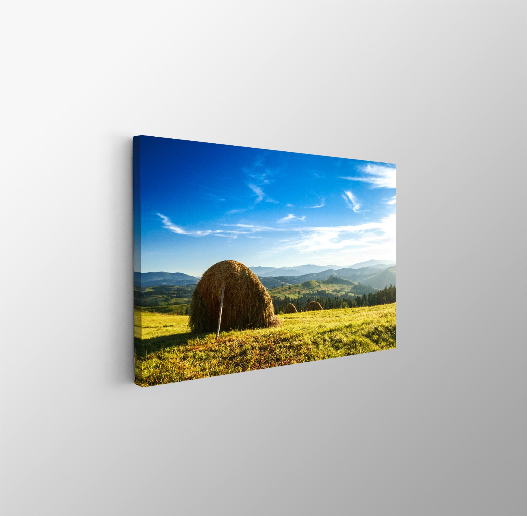 tablou canvas ; tablou pe panza ;tablou personalizat ;tablou abstract ;tablou natura