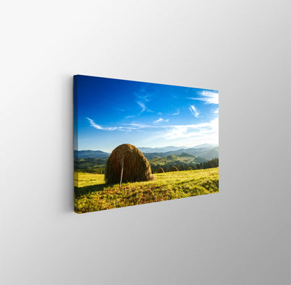 tablou canvas ; tablou pe panza ;tablou personalizat ;tablou abstract ;tablou natura