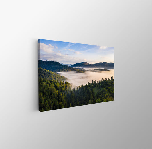 tablou canvas ; tablou pe panza ;tablou personalizat ;tablou abstract ;tablou natura