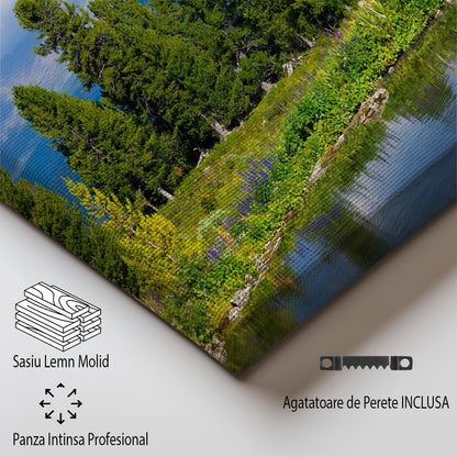 tablou canvas ; tablou pe panza ;tablou personalizat ;tablou abstract ;tablou natura