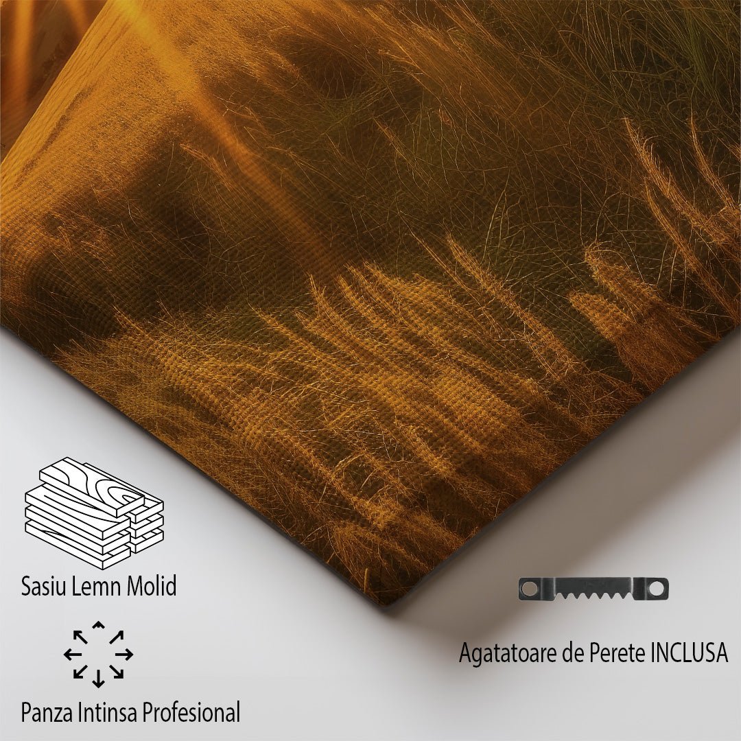 tablou canvas ; tablou pe panza ;tablou personalizat ;tablou abstract ;tablou natura