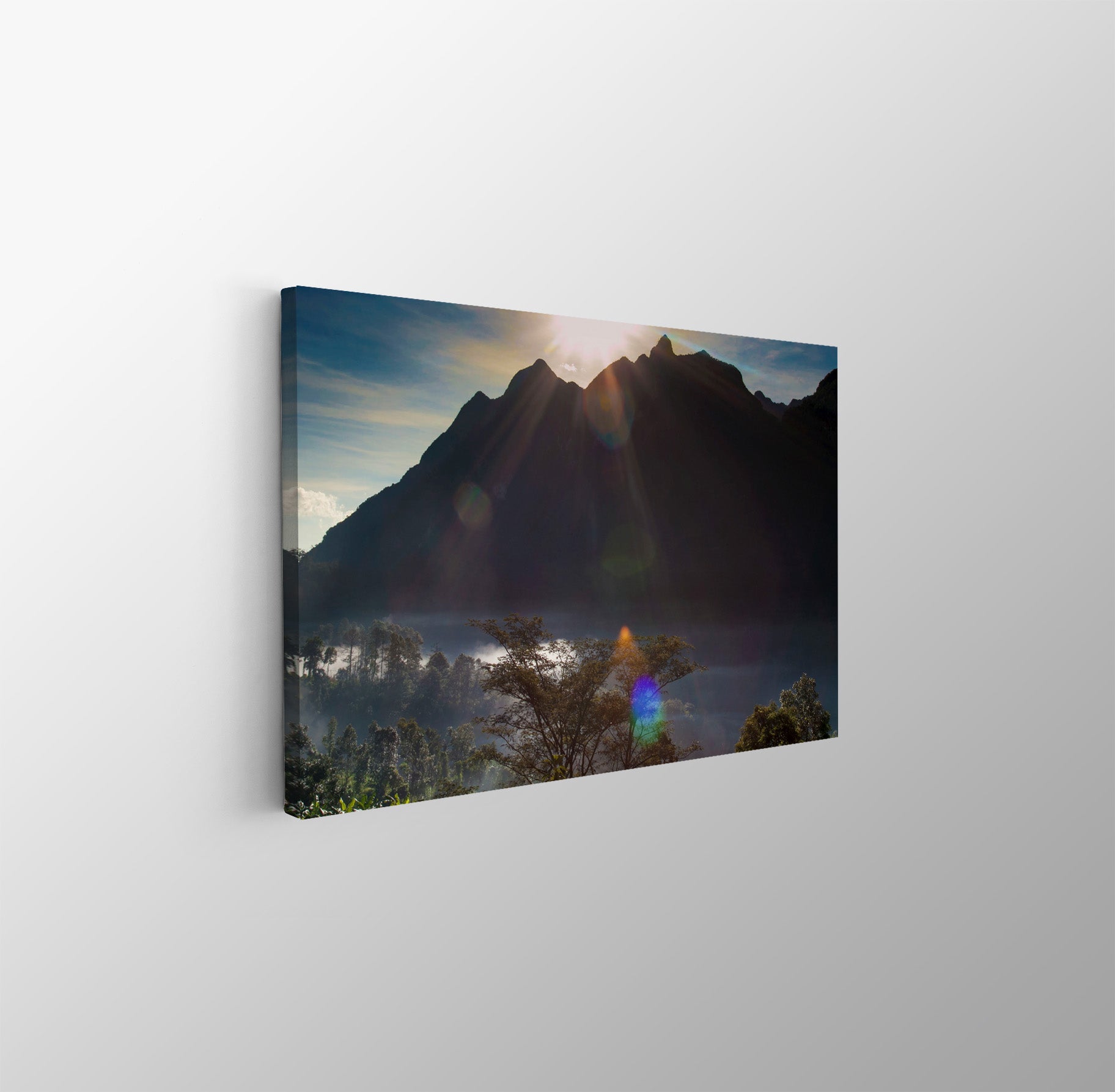 tablou canvas ; tablou pe panza ;tablou personalizat ;tablou abstract ;tablou natura