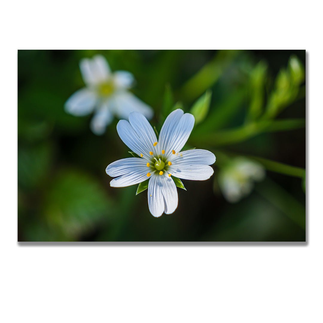 tablou canvas ; tablou pe panza ;tablou personalizat ;tablou abstract ;tablou natura