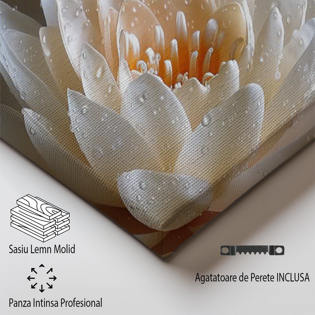 Tablou Canvas Floare lotus in apa reflexie delicata | The Print Studio