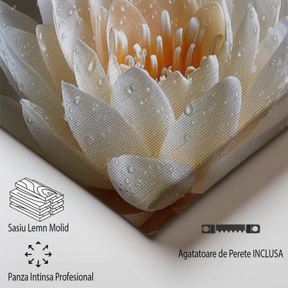 Tablou Canvas Floare lotus in apa reflexie delicata | The Print Studio