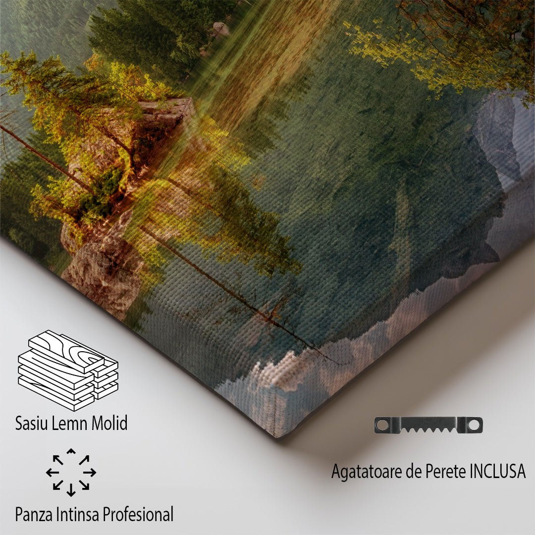 tablou canvas ; tablou pe panza ;tablou personalizat ;tablou abstract ;tablou natura